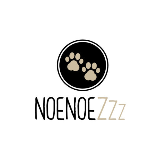 logo noenoezzz
